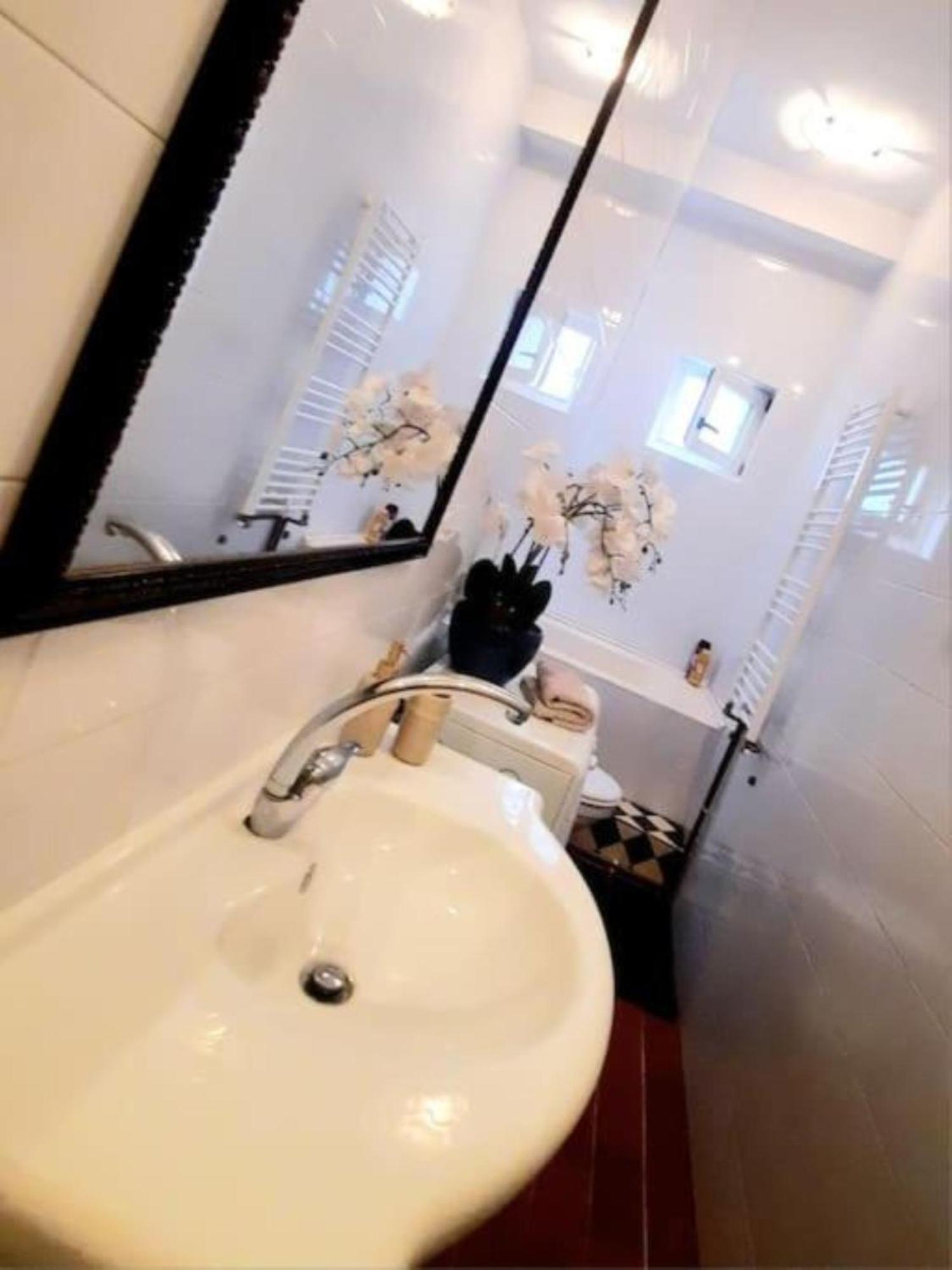Timisoara Central 2 Bedroom Hotel Serviced Belle Vue Apart By The Park Zewnętrze zdjęcie
